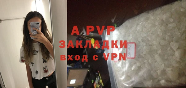 стафф Алексин