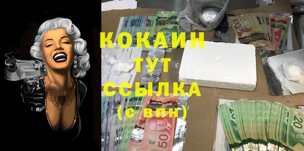 стафф Алексин