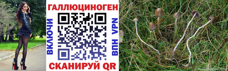 продажа наркотиков  OMG tor  Псилоцибиновые грибы ЛСД  Тольятти 